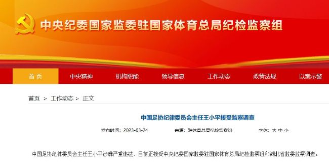 白丝女仆被
