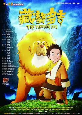 91视频区