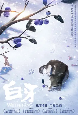 代理快点快点