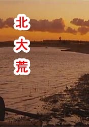 国模冰冰150p