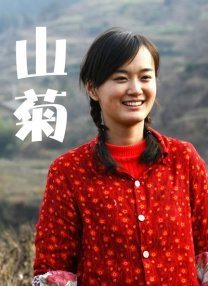 精品成人av