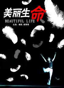 午夜精品一区二区三区在线视频