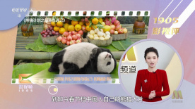 亚洲成人在线观看视频